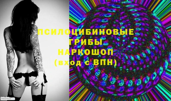 дмт Аркадак