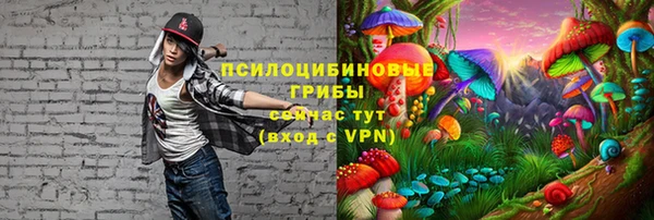 дмт Аркадак